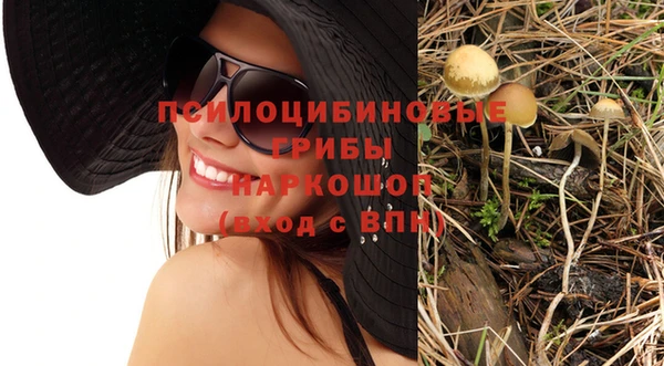 прущие крисы Медногорск