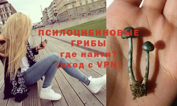 первитин Медвежьегорск