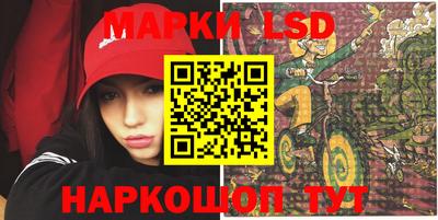 мдпв Гатчина