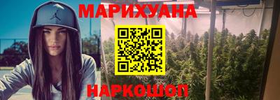 мдпв Гатчина