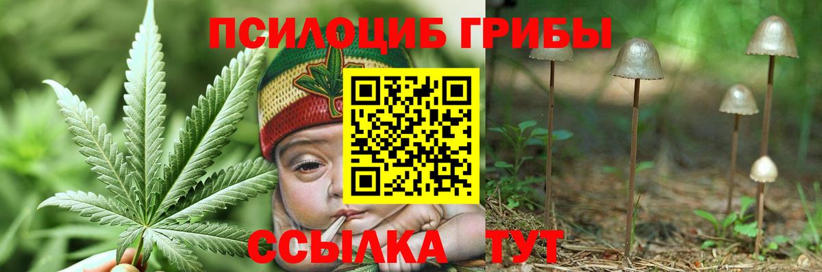 Галлюциногенные грибы Psilocybine cubensis  наркошоп  Канаш  Вход с VPN  Псилоцибиновые грибы мухоморы 